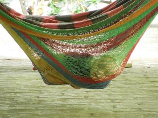 942964_10201364392138176_315433024_n