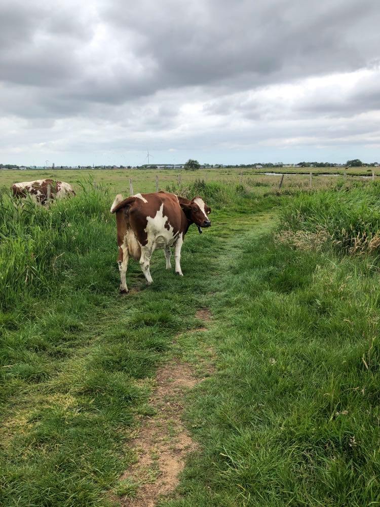 104100211_1673158679516784_8769134344908225530_n